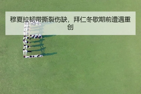 mu-xia-la-ren-dai-si-lie-shang-que-bai-ren-dong-xie-qi-qian-zao-yu-zhong-chuang-2-284.jpg
